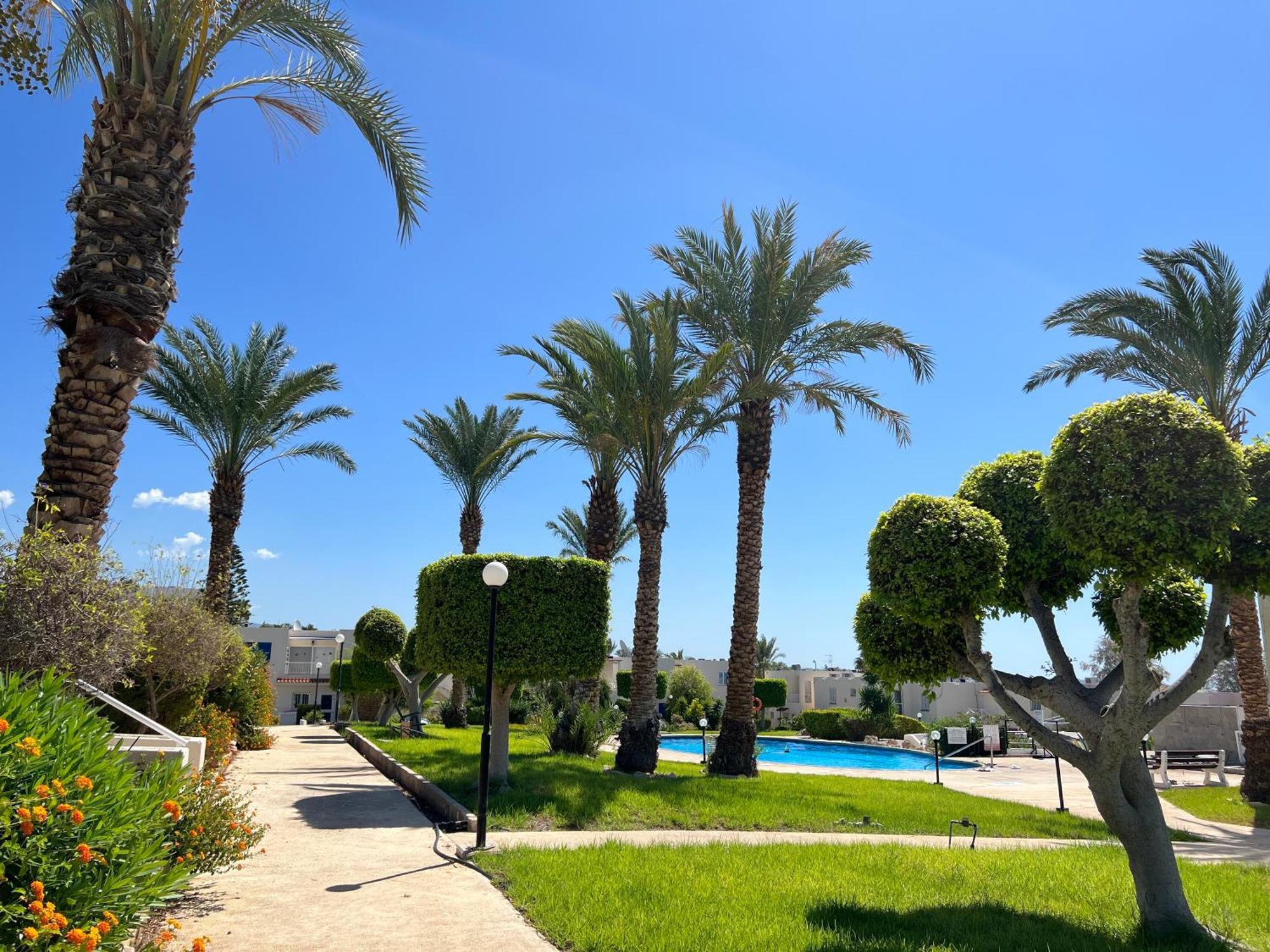Apartamento Modern Seaview Townhouse In Coral Bay (Adults Only) Peyia Exterior foto